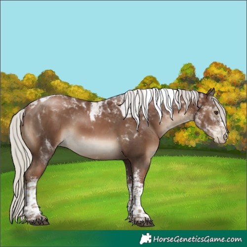 Horse Color:Gray White Spotted Silver Black Pearl Tobiano 