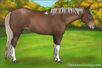 Horse Color:Gray Silver Black Pearl Tobiano 