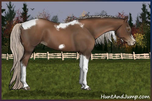 Horse Color:Gray Silver Black Pearl Tobiano Frame