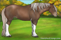 Horse Color:Gray Silver Black Pearl Tobiano 