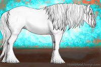 Horse Color:Gray Silver Black Pearl Tobiano