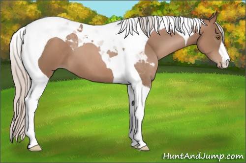 Horse Color:Silver Black Pearl Tobiano 