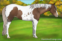 Horse Color:Gray Silver Black Pearl Tobiano 