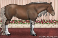 Horse Color:Gray Silver Black Pearl Tobiano 