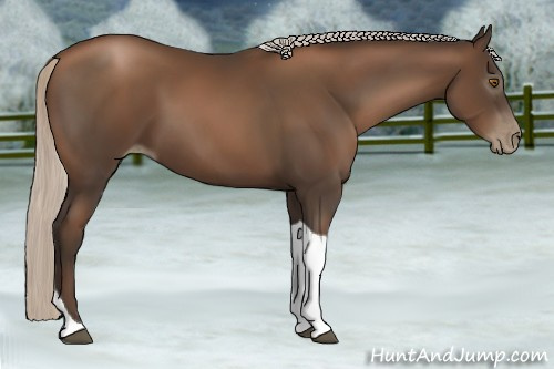 Horse Color:Gray Silver Black Pearl Tobiano