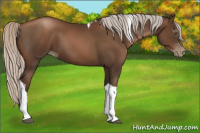 Horse Color:Gray Silver Black Pearl Tobiano 