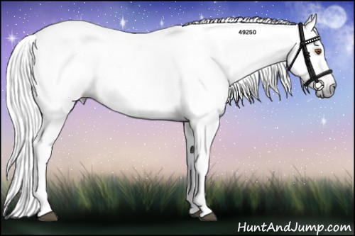 Horse Color:Gray Silver Black Pearl Tobiano 