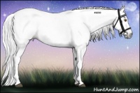 Horse Color:Gray Silver Black Pearl Tobiano 
