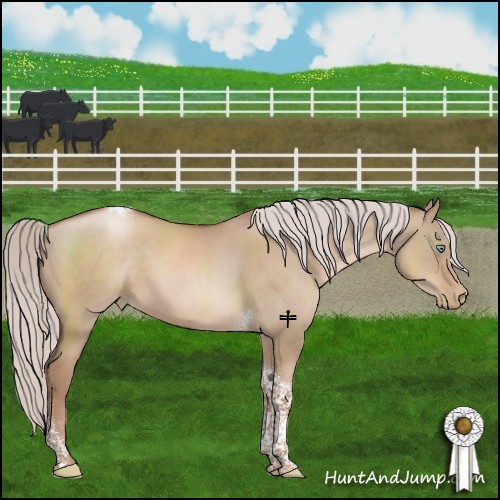 Horse Color:Chocolate Silver Grullo Pearl Tobiano 