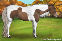 Horse Color:Gray Silver Black Pearl Tobiano