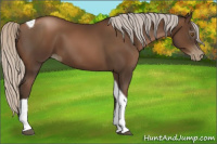 Horse Color:Gray Silver Black Pearl Tobiano 