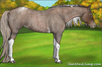 Horse Color:Gray Silver Blue Roan Pearl Tobiano