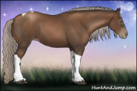Horse Color:Gray Silver Black Pearl Tobiano