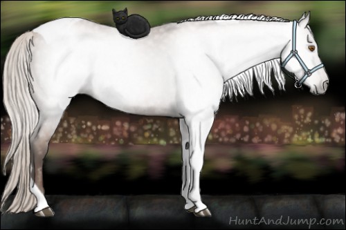 Horse Color:Gray Silver Black Pearl Tobiano 