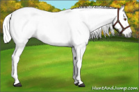 Horse Color:Gray Silver Black Pearl Tobiano