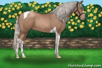 Horse Color:Silver Black Pearl Tobiano 