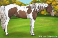 Horse Color:Gray Silver Black Pearl Tobiano