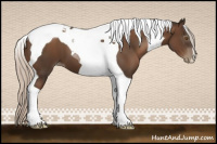 Horse Color:Gray Silver Black Pearl Tobiano