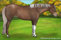 Horse Color:Gray Silver Black Pearl Tobiano