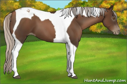 Horse Color:Gray Silver Black Pearl Tobiano 