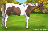 Horse Color:Gray Silver Black Pearl Tobiano