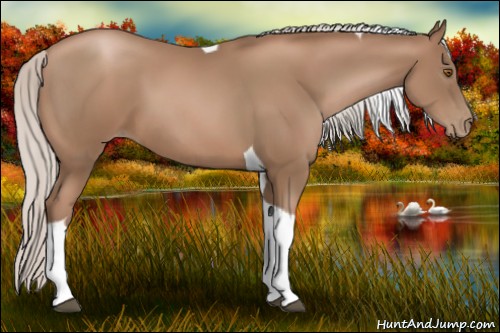 Horse Color:Silver Black Pearl Tobiano 