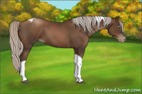 Horse Color:Gray Silver Black Pearl Tobiano 