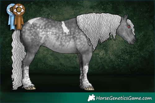 Horse Color:White Spotted Silver Black Chinchilla Tobiano 