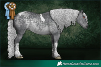 Horse Color:White Spotted Silver Black Chinchilla Tobiano 
