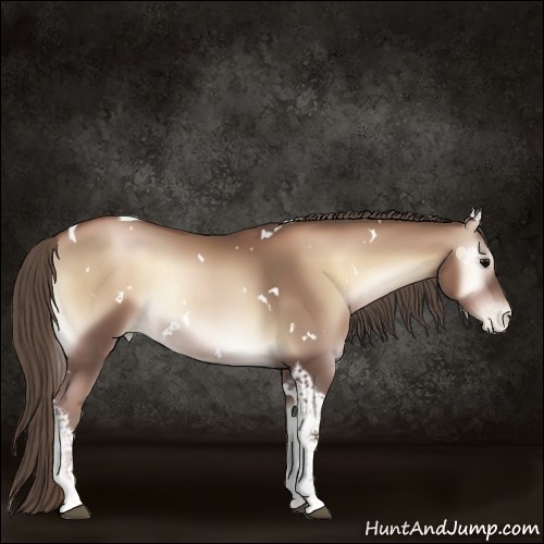 Horse Color:White Spotted Blue Onyx Pearl Tobiano 