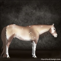 Horse Color:White Spotted Blue Onyx Pearl Tobiano 