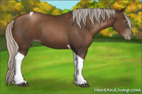 Horse Color:Gray Silver Black Pearl Tobiano