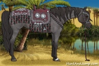 Horse Color:Smoky Blue Roan 