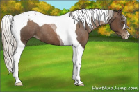Horse Color:Gray Silver Black Pearl Tobiano Varnish 