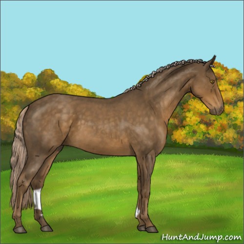Horse Color:Chocolate Palomino Roan 