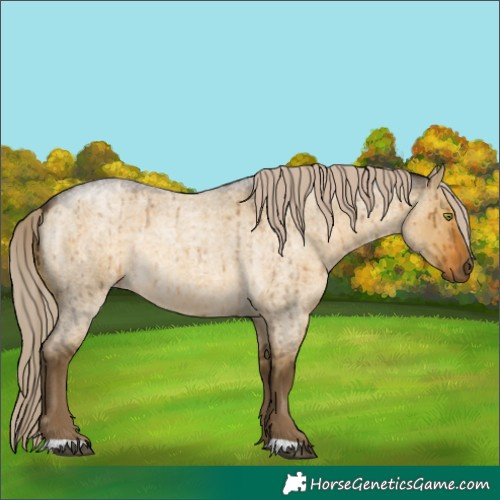 Horse Color:Chocolate Palomino Roan Dun Mushroom Brindle 