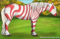 Horse Color:Palomino Near Leopard 