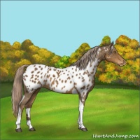 Horse Color:Platinum Chocolate Palomino Tobiano Near Leopard 