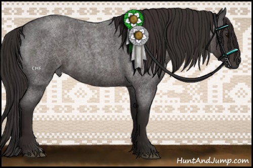 Horse Color:Smoky Blue Roan 