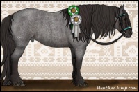 Horse Color:Smoky Blue Roan 