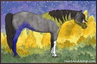 Horse Color:Smoky Blue Roan 