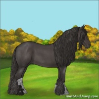 Horse Color:Smoky Blue Roan 
