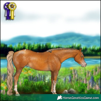 Horse Color:Gray Gold Cream Champagne Tobiano 