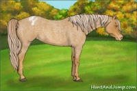 Horse Color:Palomino Roan Varnish 