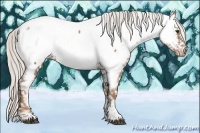 Horse Color:Silver Black Pearl Sabino Tobiano Appaloosa 