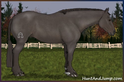Horse Color:Smoky Blue Roan