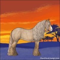 Horse Color:Palomino Roan Splash 