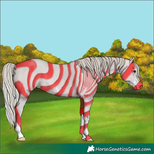 Horse Color:Silver Brown 