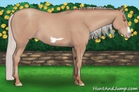 Horse Color:Silver Classic Champagne Frame 