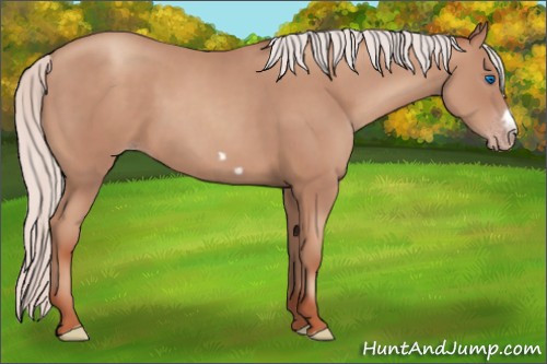 Horse Color:Silver Classic Champagne Frame 